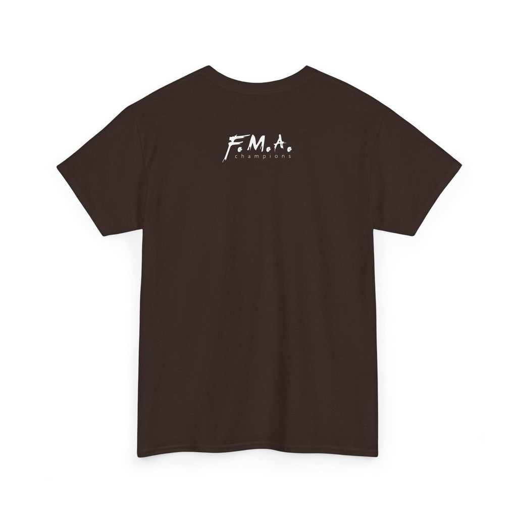 FMA Champions Mod