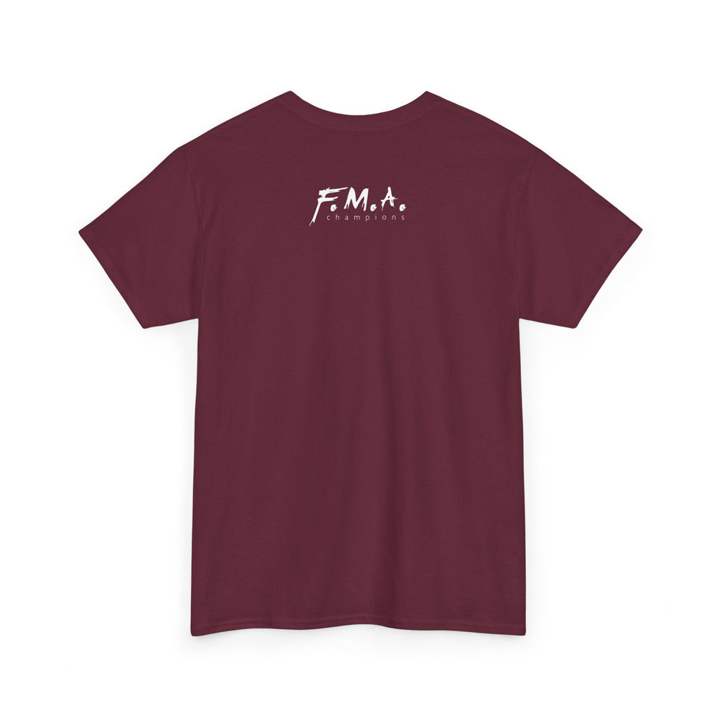 FMA Champions Mod